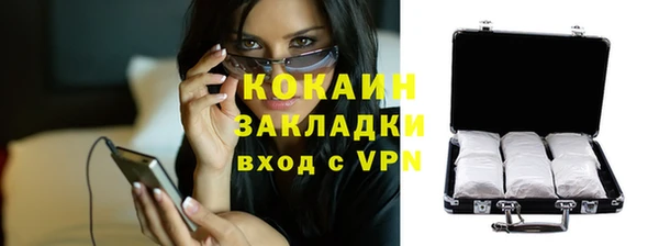 стаф Нея