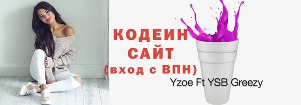 стаф Нея