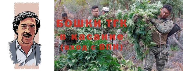 PSILOCYBIN Нефтекумск