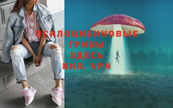 стаф Нея