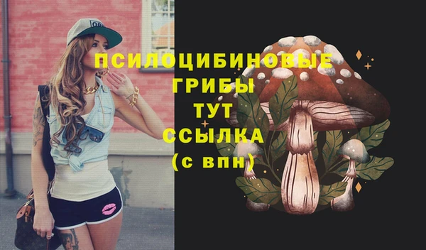 хмурый Новокубанск