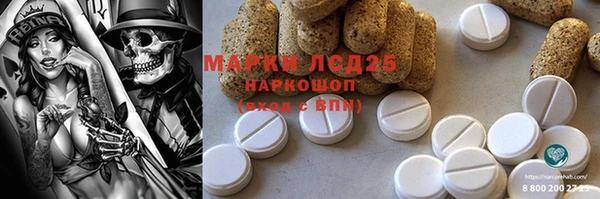 стаф Нея