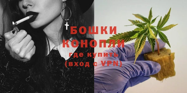 стаф Нея