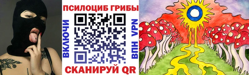 купить   Димитровград  Псилоцибиновые грибы GOLDEN TEACHER 