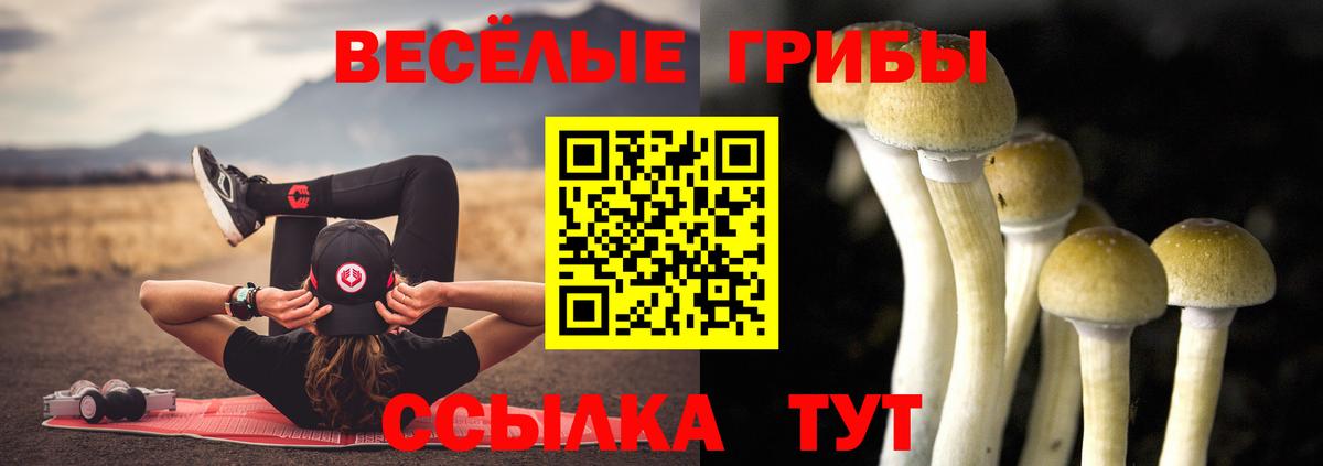 ГАШ  Вход с VPN  МДМА  Кокаин  МЕФ  Димитровград  МАРИХУАНА 